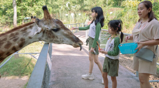 parc animalier à Clermont-Ferrand.jpg