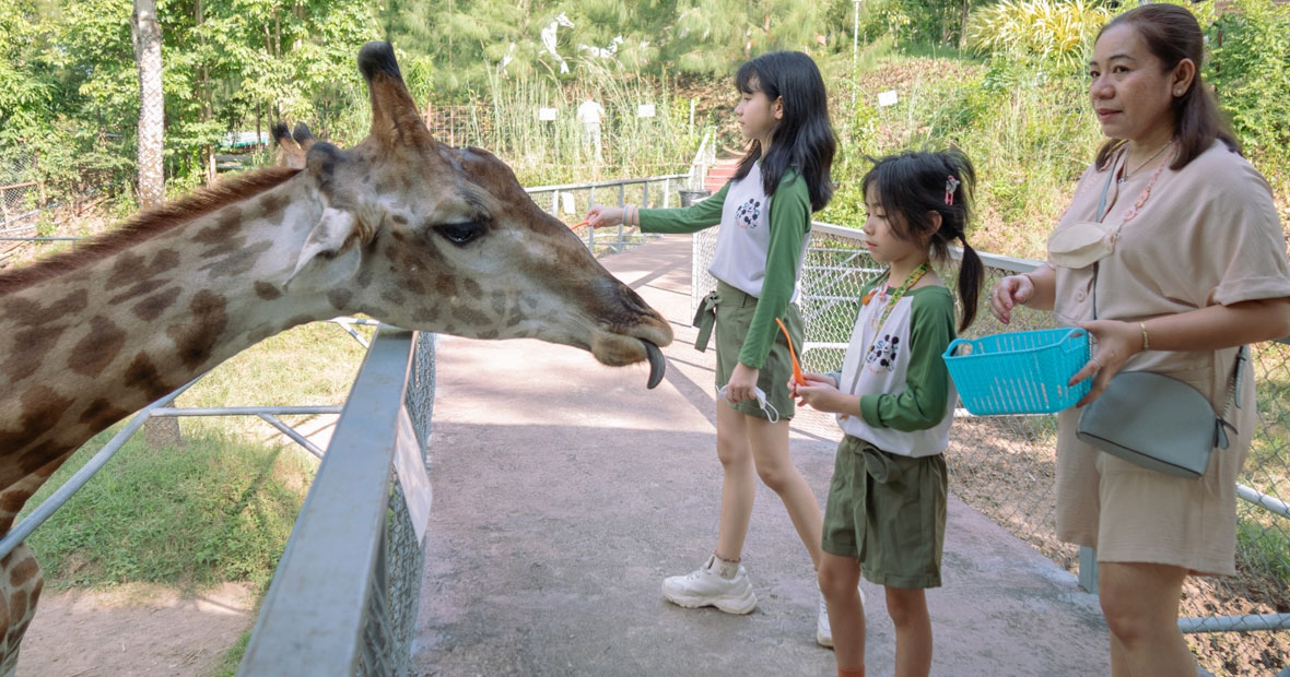 parc animalier à Clermont-Ferrand.jpg
